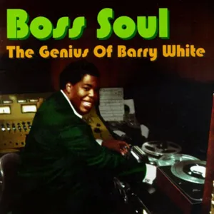 Boss soul : the genius of Barry White